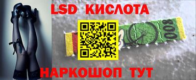 прущие грибы Краснознаменск