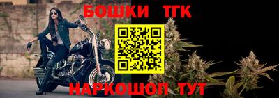 прущие грибы Краснознаменск