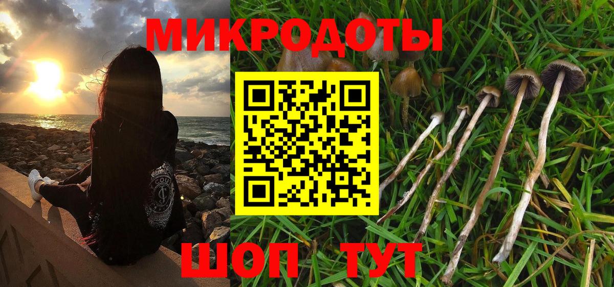 Сухой Лог  Галлюциногенные грибы мицелий  цена   Вход с VPN  Псилоцибиновые грибы Cubensis 
